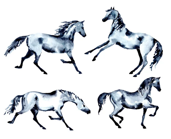 Set Horse Trotting Rearing Piaffe Passage Motion Watercolor Ink Hand — Stock Photo, Image