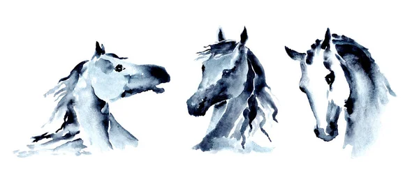Σετ Κεφαλών Αλόγων Υδατογραφία Μελάνι Χέρι Ζωγραφική Άλογο Συλλογή Ρύγχος — Φωτογραφία Αρχείου