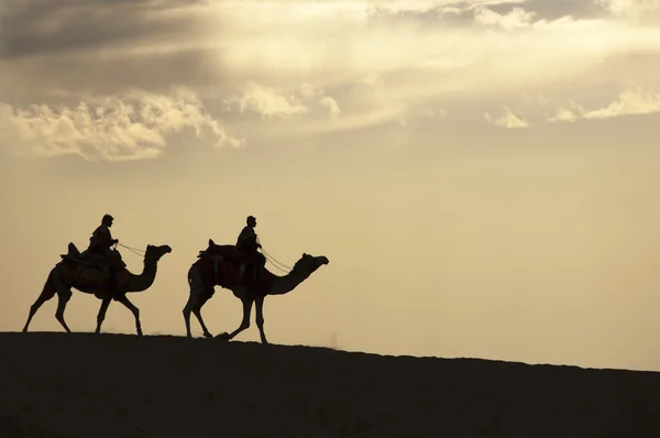 Paseando por el desierto — Foto de Stock