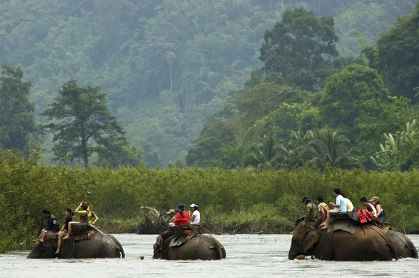 Tourists take elephant riding — Stock Photo, Image