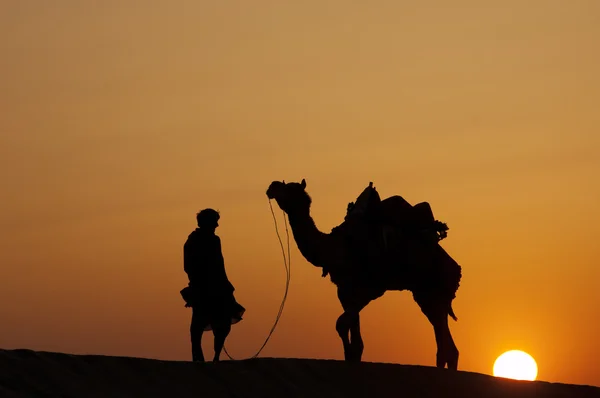 Люди в пустыне ходят с верблюдами — стоковое фото