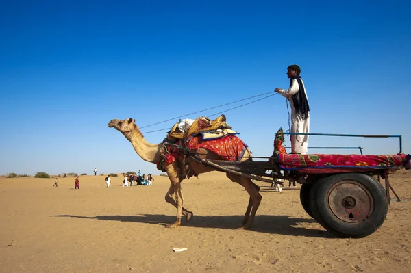 Cameleer en la duna Sam Sand — Foto de Stock