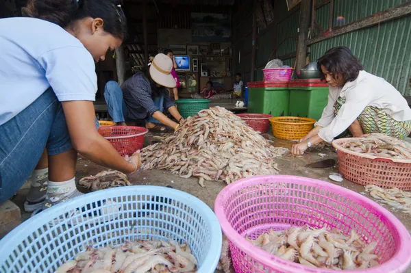 Locals inspect and grade shrimps — Stock Photo, Image