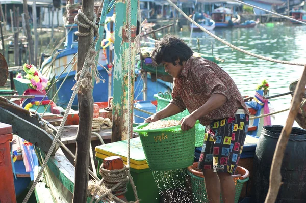 Fisherman lifts the basket of shrimps — Stock Photo, Image