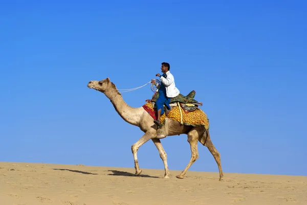 Camel riding — Stock Photo, Image