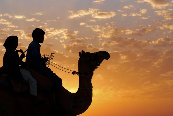 Barn på en kamel rygg — Stockfoto