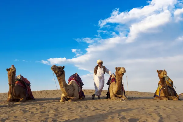 Cameleer en zijn kudde — Stockfoto