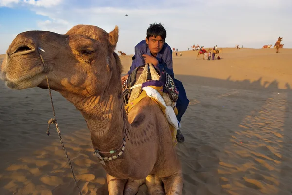 Kameel rijden in jaisalmer — Stockfoto