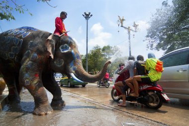 People enjoy water splashing with elephants clipart