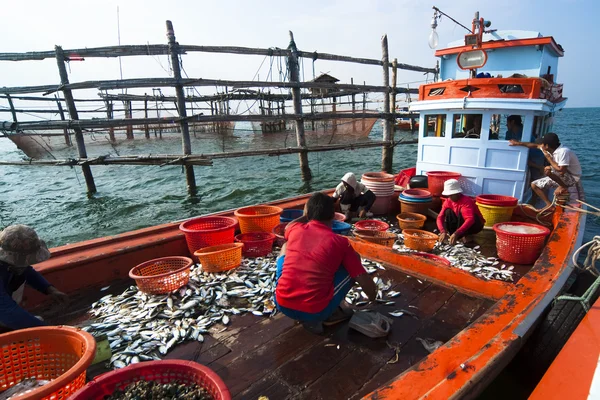 Fishing activities at the mouth of Mae Klong River, Thailand — Stock Photo, Image