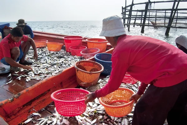 Etkinlikler, Tayland mae klong Nehri'nin ağzında Balık tutma