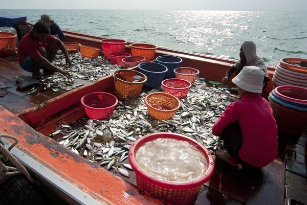 Fishing activities at the mouth of Mae Klong River, Thailand — Stock Photo, Image