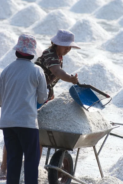 Las mujeres trabajan en una granja de sal — Foto de Stock