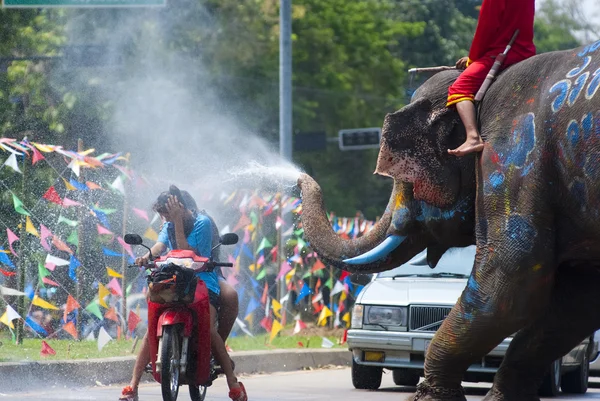 Menschen genießen Wasser, das mit Elefanten planscht — Stockfoto