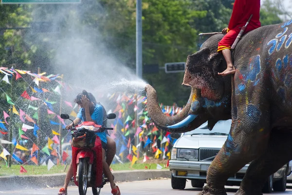 Orang menikmati percikan air dengan gajah — Stok Foto