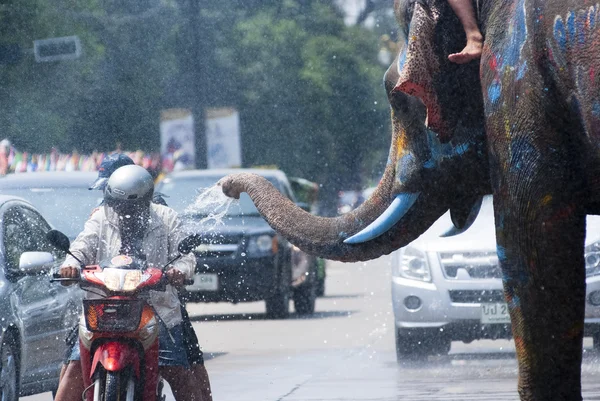 People enjoy water splashing with elephants — Stock Photo, Image