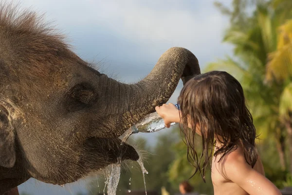 Fille donne de l'eau à un bébé éléphant Images De Stock Libres De Droits