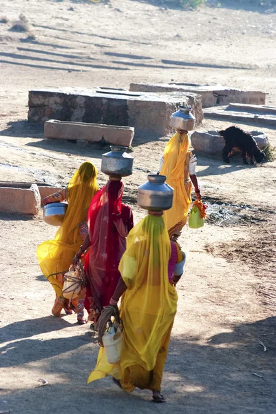 Mulheres que transportam água em Rajasthan — Fotografia de Stock