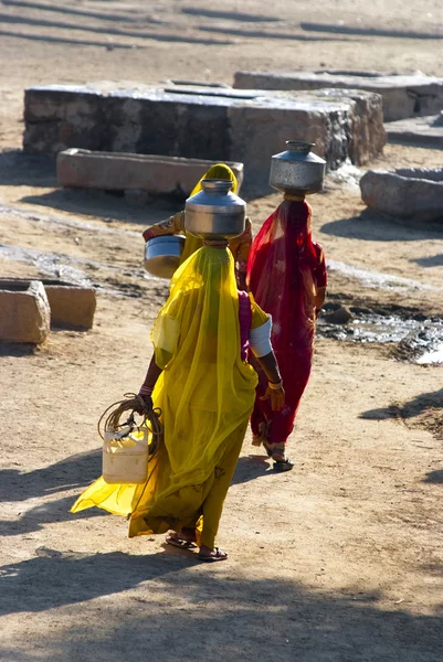 Rajasthan içinde su taşıyan kadınlar — Stok fotoğraf