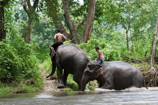 Zwei Dorfbewohner reiten auf Elefanten — Stockfoto