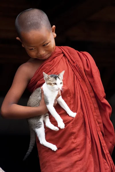 Novice at Shwe Yan Phe Monastery — Stock Photo, Image