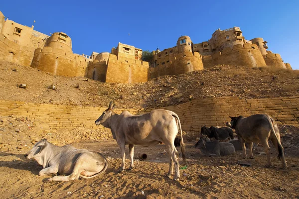 Forte di Jaisalmer — Foto Stock