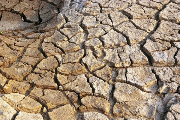 Gebarsten en droog land — Stockfoto