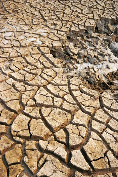 Gebarsten en droog land — Stockfoto