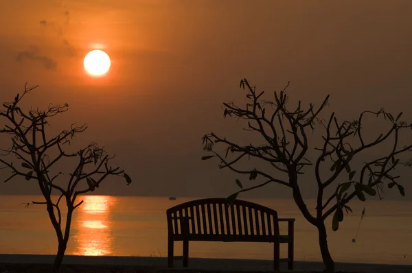 Silhouette sandalye ve iki ağaç — Stockfoto