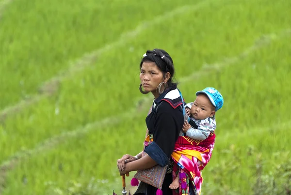 Hmong mulher carrega seu filho — Fotografia de Stock