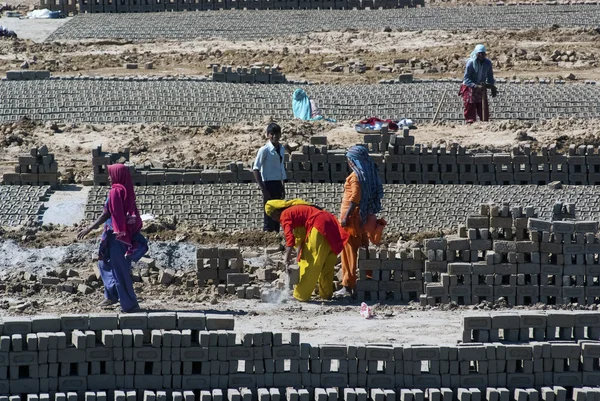 Labourers prepare bricks at a brick kiln — Stock Photo, Image