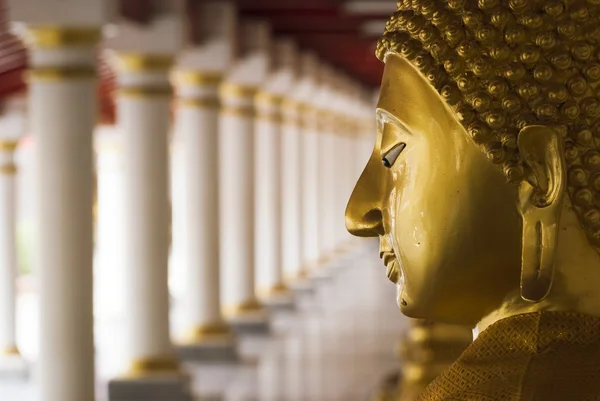 Boeddha beeld — Stockfoto