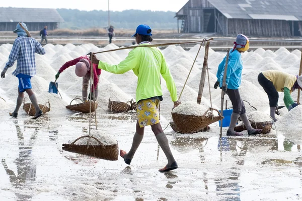 Salt gazdálkodás Thaiföldön — Stock Fotó