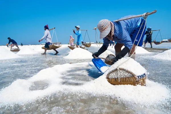 Agricultura de sal na Tailândia — Fotografia de Stock