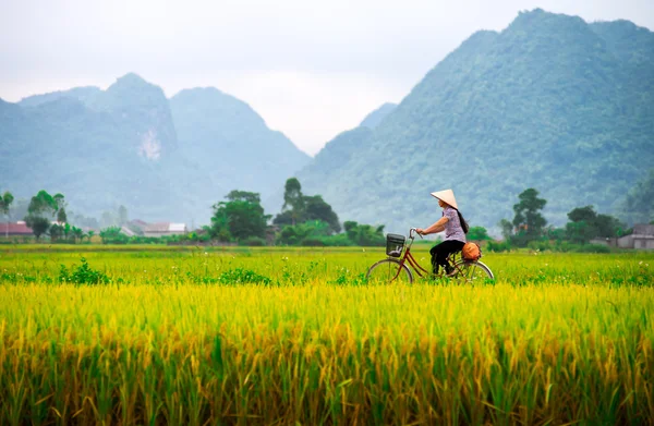 Woman on her bicycle — Stock Photo, Image