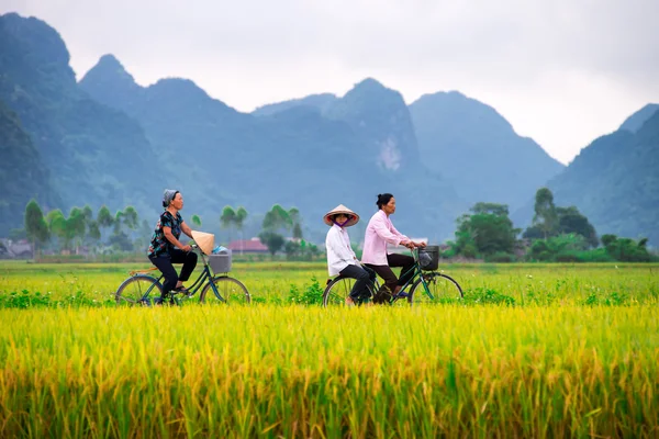 Personas en sus bicicletas — Foto de Stock