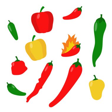 Various types of chili pepper vector illustrations with flat style isolated on white background