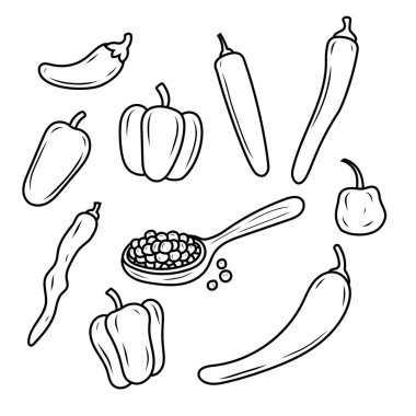 Set of chili and pepper vector illustrations with doodle drawing style. Hand-drawn chili pepper collection illustration