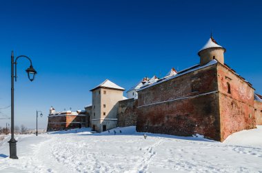 Arkadan Görünüm Kalesi Brasov, Romanya