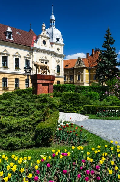 Hôtel de ville de Brasov, Roumanie — Photo