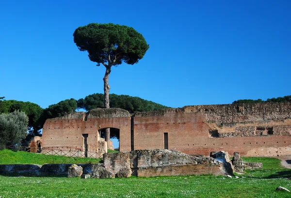 Palatin ruiny na palatin hill, Řím — Stock fotografie