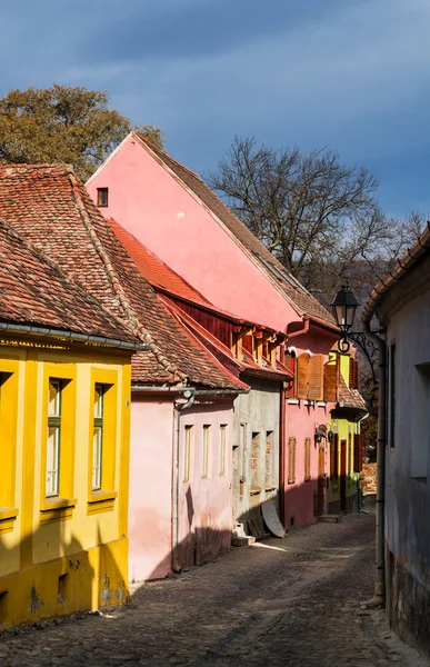 Rue pavée médiévale à Sighisoara, Transylvanie . — Photo
