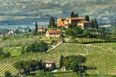 Tuscany rural landscape clipart