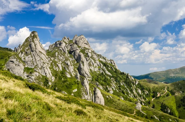 Горный пейзаж Чукаса в Румынии — стоковое фото