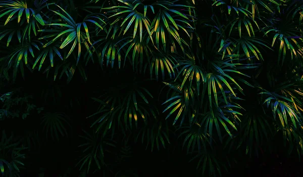 Tropical Green Leaf Background Dark Tone Theme — Stock Photo, Image