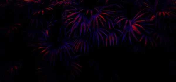 Forêt Feuilles Tropicales Brille Dans Fond Lumière Noire Contraste Élevé — Photo