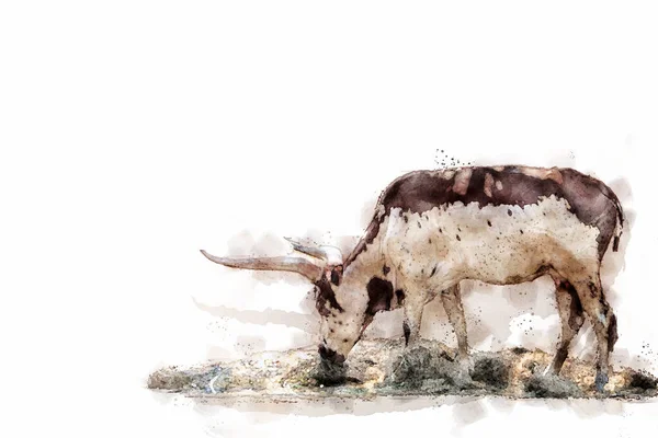 Texas Vaca Longhorn Parque Natural Estilo Aquarela — Fotografia de Stock
