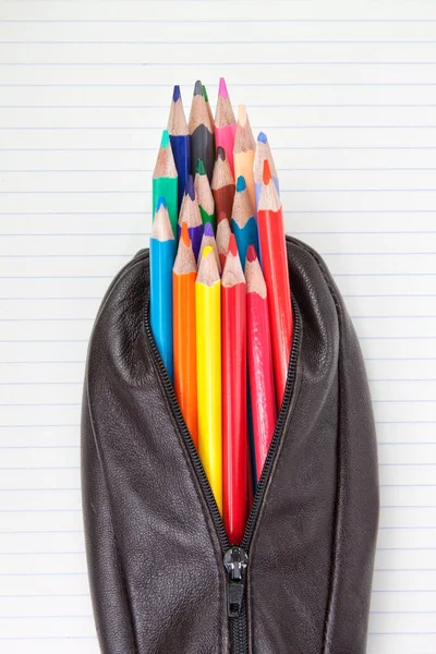 Leather pencil case and pencils on paper in the lineup. — Stock Photo, Image