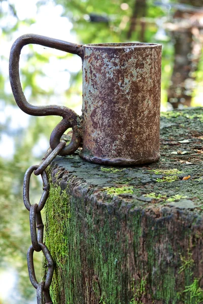 Copa de hierro antiguo con una cadena en el tocón. — Foto de Stock