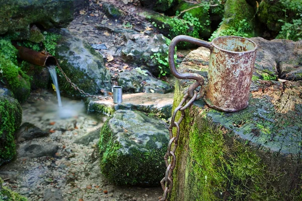 Tasse en acier sur une souche avec une chaîne près du ruisseau. — Photo